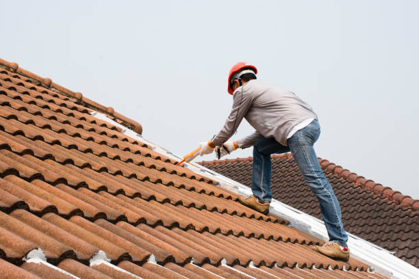 Best Gutter Installation and Repair  in USA